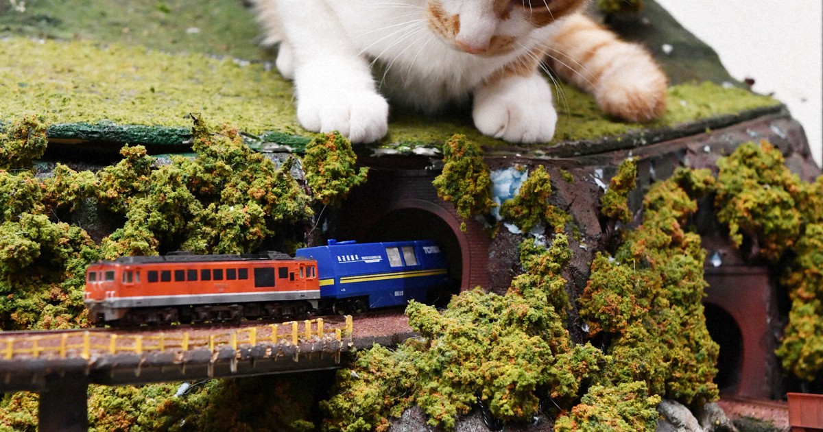 疾走する列車にネコパンチ! 14匹の猫がくつろぐジオラマ食堂 [写真特集