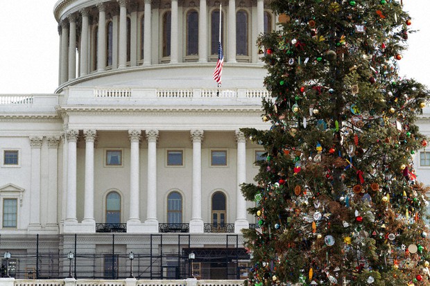 2022 U S Capitol Christmas Tree Analysis: Taking On Trump Is Biden's Reluctant Calling - The Mainichi