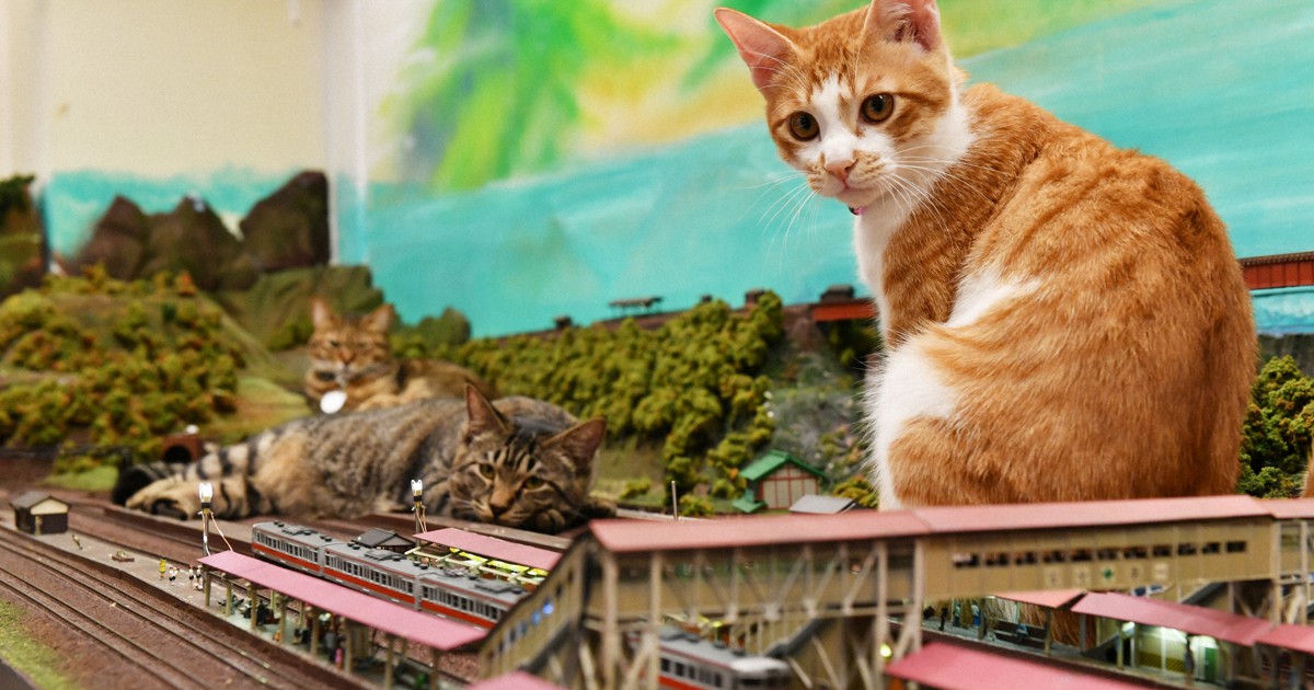‘Instaworthy’ Osaka restaurant with miniature railroad and ‘monster