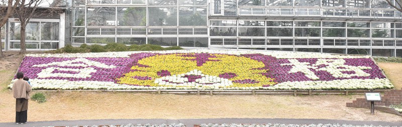 絵馬で合格祈願 出雲 しまね花の郷 島根 毎日新聞 絵馬で合格祈願 出雲 しまね花の郷 島根 毎日新聞