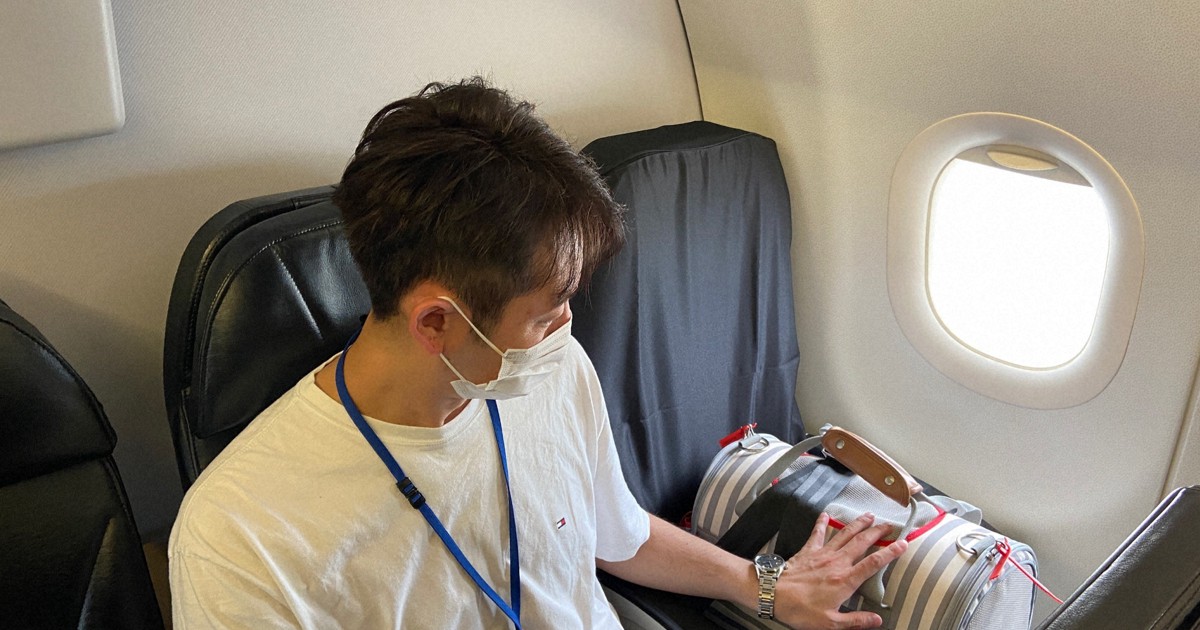 Can Puppies Travel On A Plane