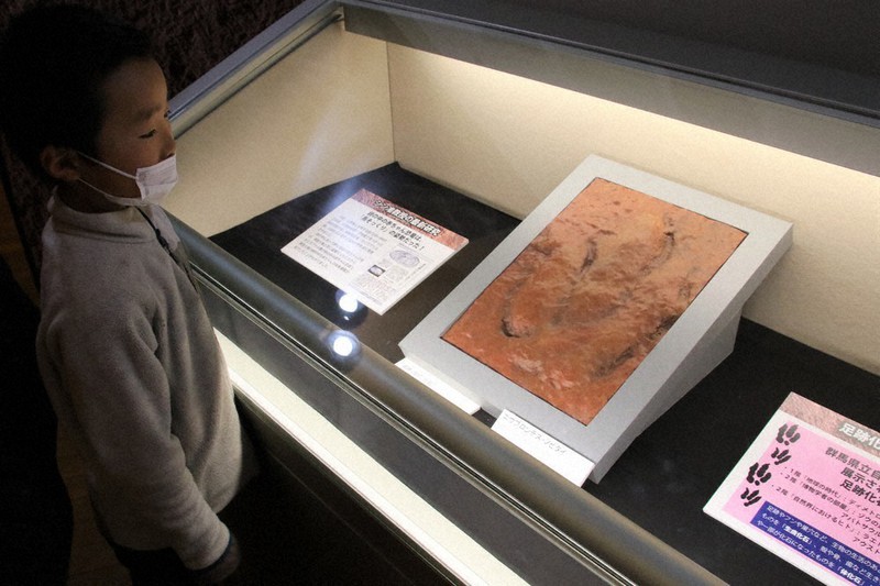 のび太」にちなみ命名の新種恐竜 足跡の化石、レプリカを展示 | 毎日新聞