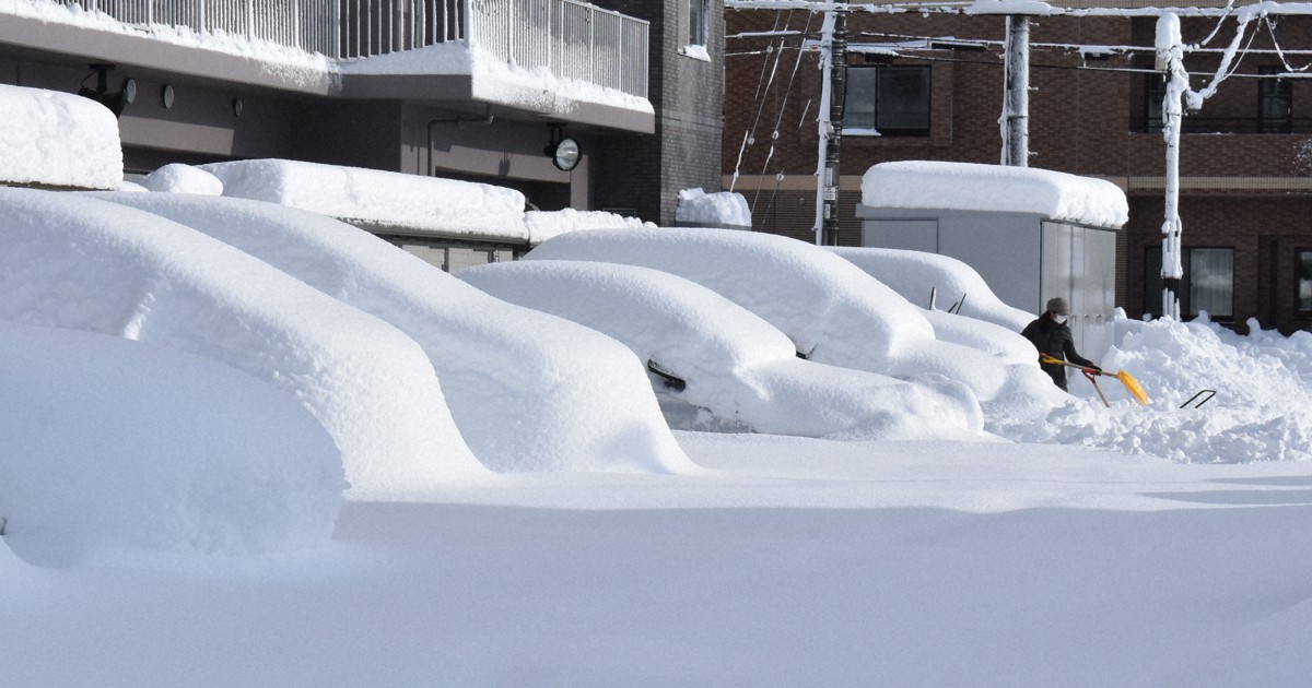 北海道に冬の嵐 札幌、雪で倒木 厚岸など高潮で中心街の一部冠水 [写真
