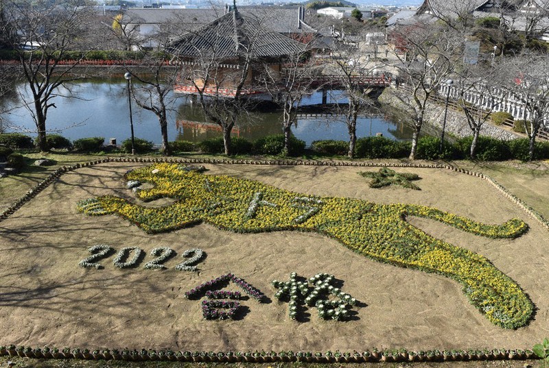 【広瀬寅夫】1984年制作 79歳時の油絵 花瓶の菊花 12号 合格トラえろ 受験生応援の花絵 桜井・安倍文殊院 ／奈良 | 毎日新聞