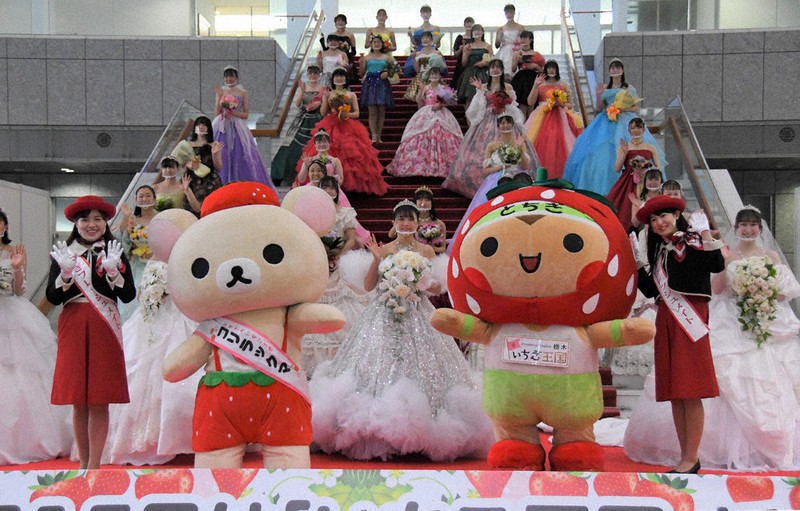 イベントにはイチゴのかぶりものをしたとちまるくんなどが参加した=宇都宮市塙田1の県議会議事堂で、玉井滉大撮影