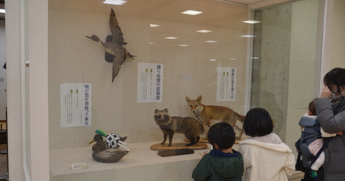 古民具や剥製でことわざを解説 能登川博物館 東近江 滋賀 毎日新聞