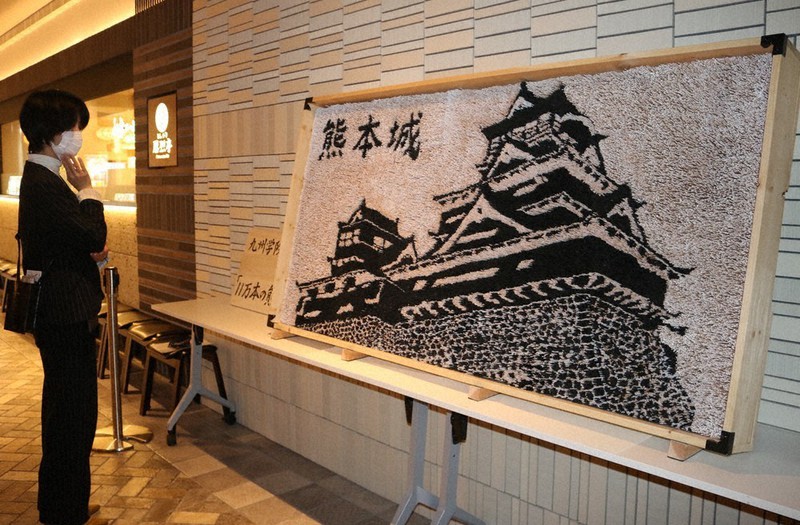 つまようじ11万本で熊本城 高校生、コツコツ2週間 地震復興願い | 毎日新聞