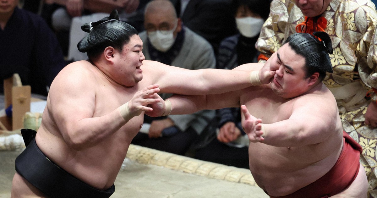 大相撲　阿炎関　反物　　　一反 大相撲 阿炎関 反物 一反