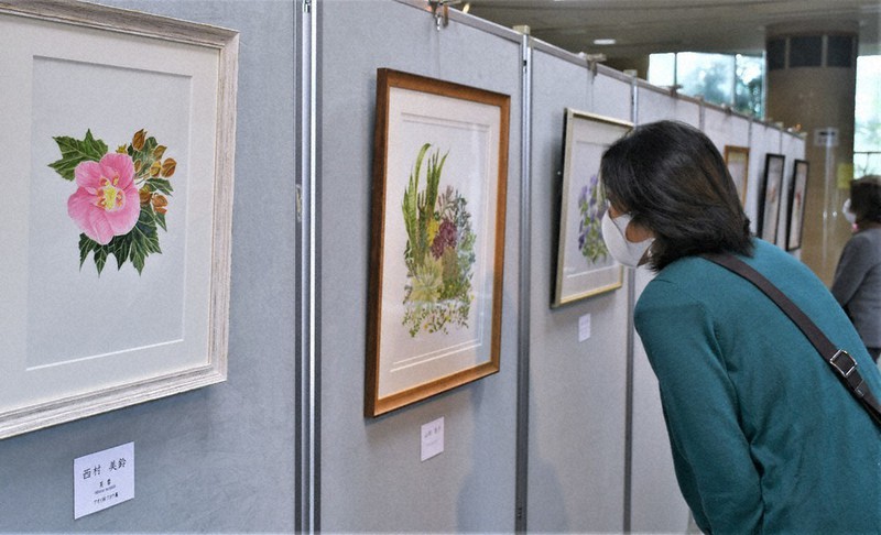 細部まで描き込まれたボタニカルアートが並ぶ会場=滋賀県草津市下物町の市立水生植物公園みずの森で、礒野健一撮影