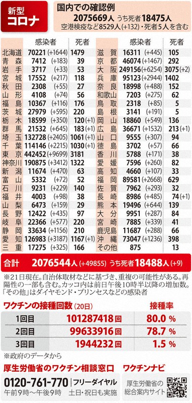 国内での感染者確認例