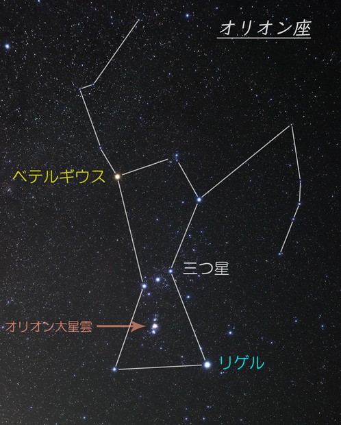 星空と宇宙：真冬に輝く夜空の狩人 オリオン座に羽ばたく「鳥