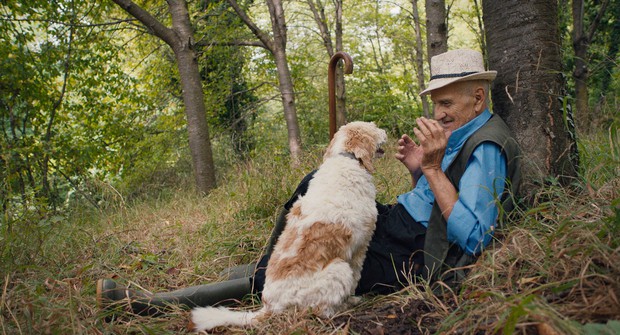 アートな時間：世界がどんなに変わろうと 老人と犬は森へ入っていく 