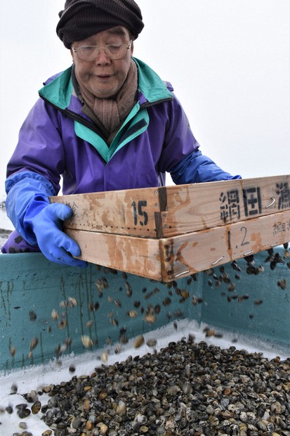 熊本県産アサリ偽装 踏みにじった漁師の努力 激減からの取り組み