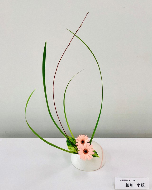 学校華道インターネット花展 札幌国際大の細川小頼さんが最優秀賞