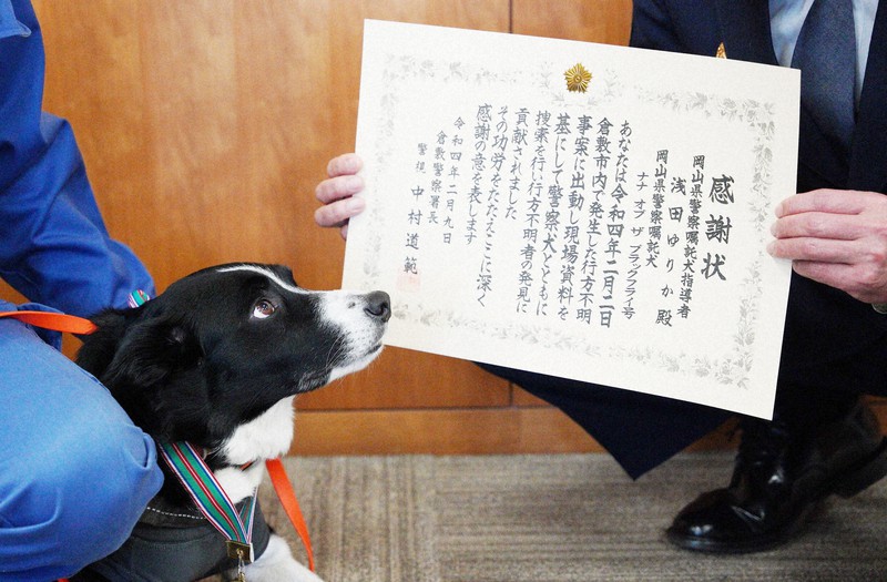 桜の御門　　P.D. 警察犬 プレート 桜の御門 P.D. 警察犬 プレート
