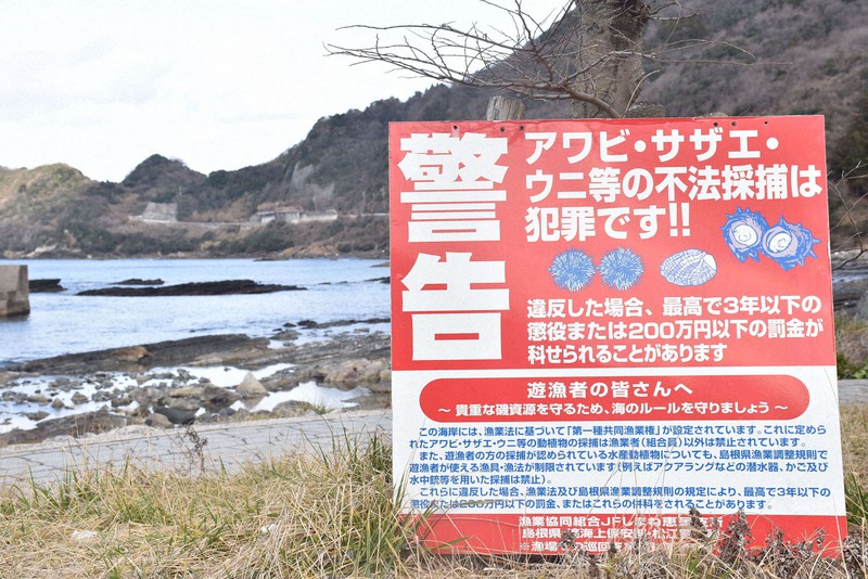 密漁5年間告訴せず放置 漁協組合JFしまね 漁師「まさか」 | 毎日新聞