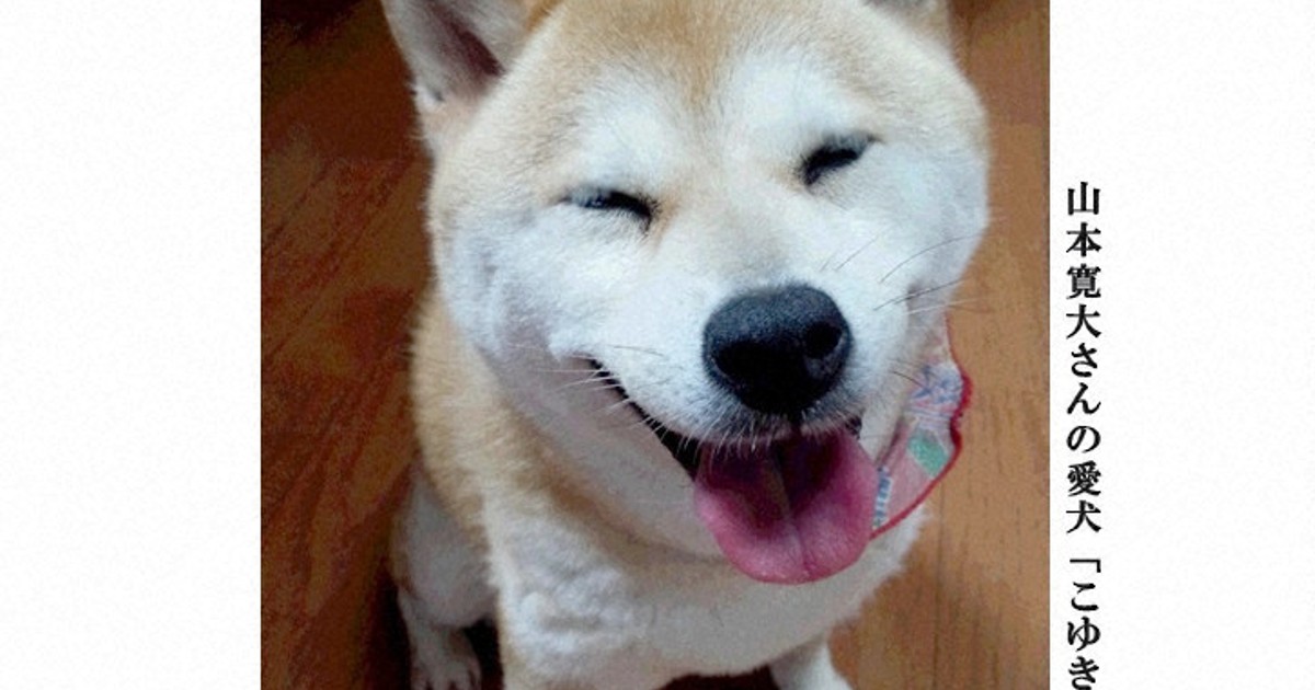 一杯の楽しみと一つの命どちらが大切?」 飲酒運転撲滅訴え | 毎日新聞