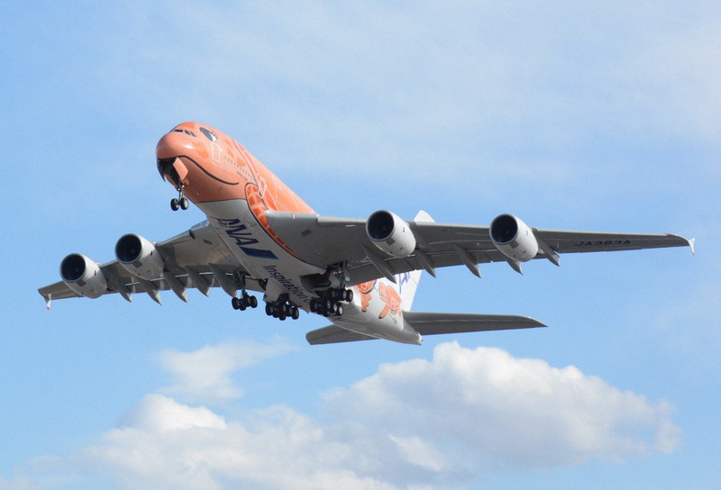 出番待つオレンジ色のウミガメ機 旅客乗せハワイに飛ぶ日は