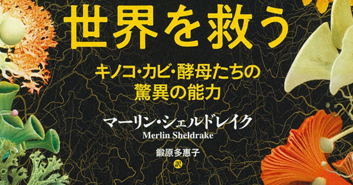 今週の本棚 養老孟司 評 菌類が世界を救う マーリン シェルドレイク著 鍛原多惠子 訳 毎日新聞
