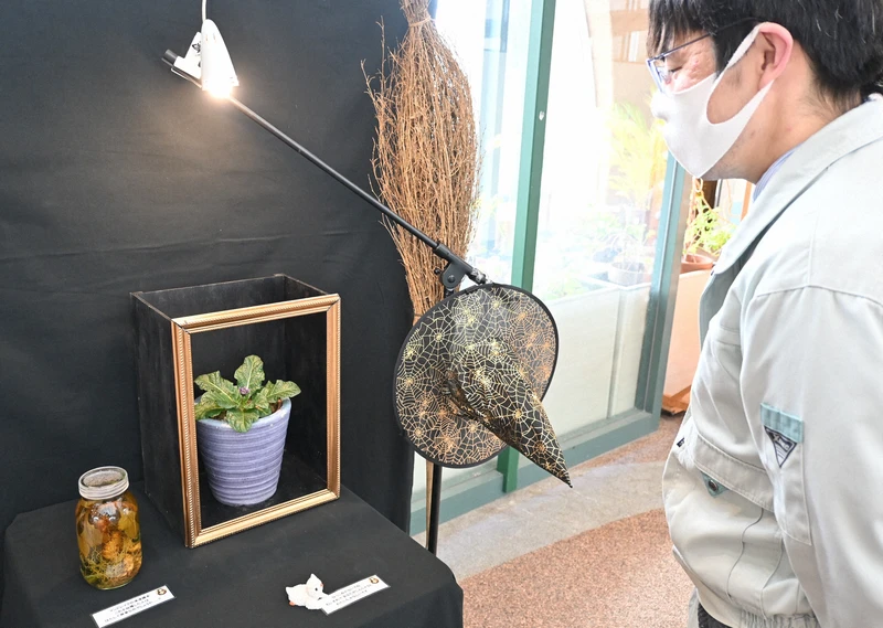 ハリポタの魔法薬 マンドラゴラ 勇気出して引き抜いたら 毎日新聞