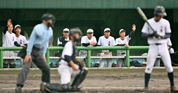 大島　野球部 大島（鹿児島）｜第94回センバツ高校野球 | 毎日新聞