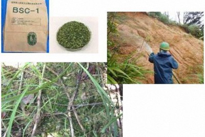 土壌藻類資材(BSC-1)を散布