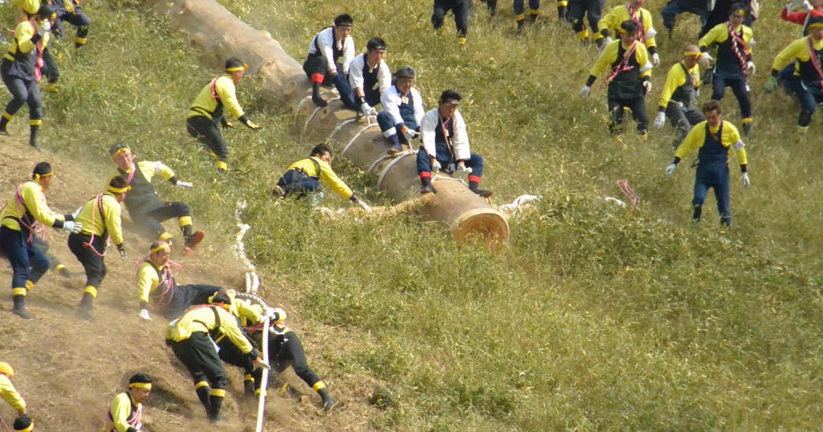 諏訪大社御柱祭 山出しはトレーラー 木落しは中止 コロナ影響 毎日新聞