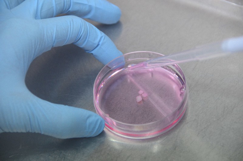 脳機能改善食品素材の開発と応用 脳の毒を出す食品図鑑 | 白澤 卓二 |本 | 通販 | Amazon