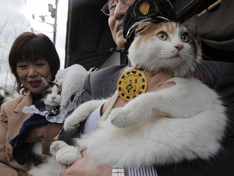 たま神社」宮司にニタマ駅長 「スーパー猫の日」に和歌山電鉄 [写真