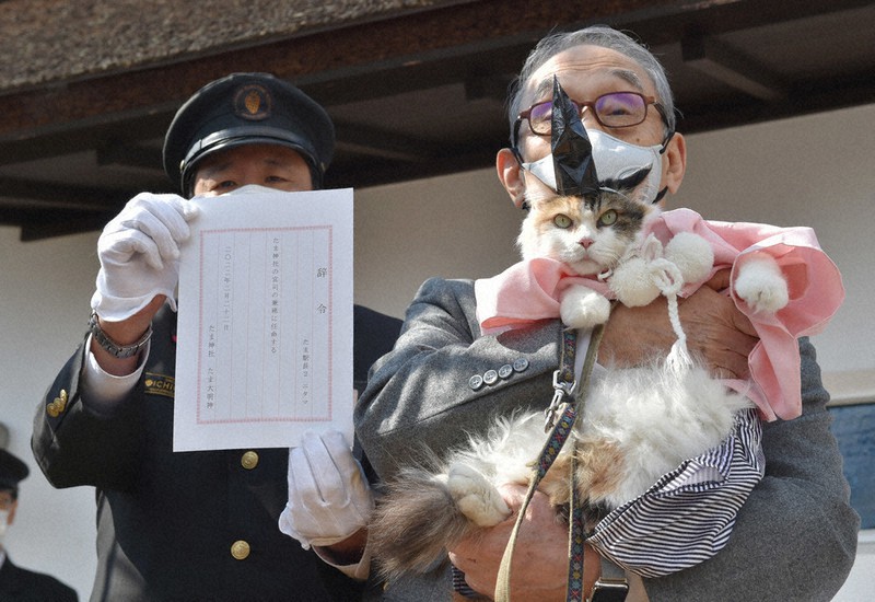 スーパーにゃんにゃんデー、御利益を 「ニタマ」、たま神社宮司に