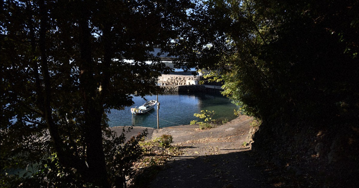 みっちん大変 石牟礼道子物語 22 波濤 3 根へ 暗黒のみちる所 米本浩二 毎日新聞