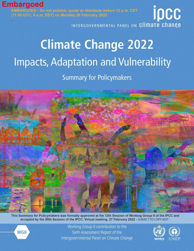 国連の気候変動に関する政府間パネル(IPCC)第2作業部会が公表した最新報告書の表紙=IPCC提供
