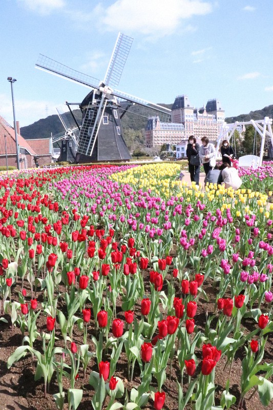 W1fy9djfwqrywm W1fy9djfwqrywm