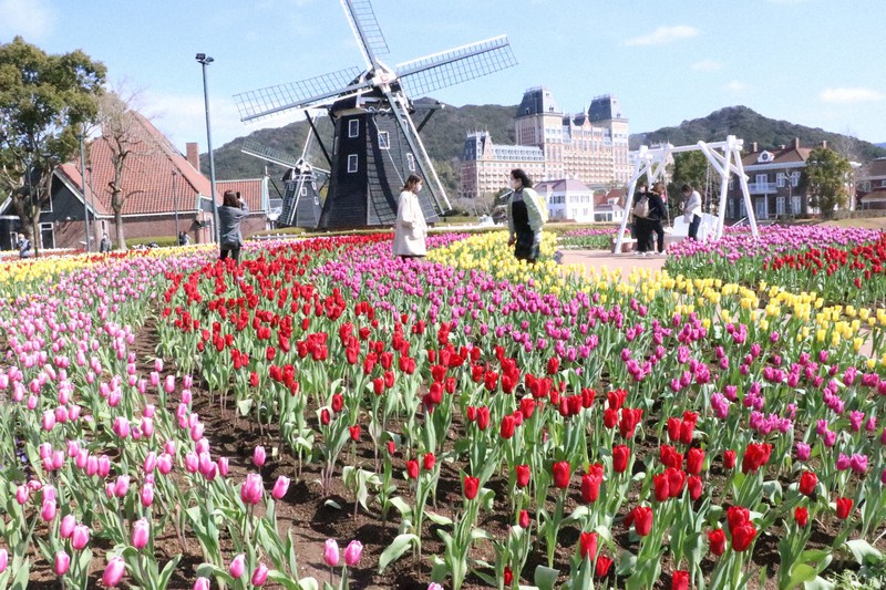 ハウステンボスで日本一早い チューリップ祭 来園者 春満喫 毎日新聞