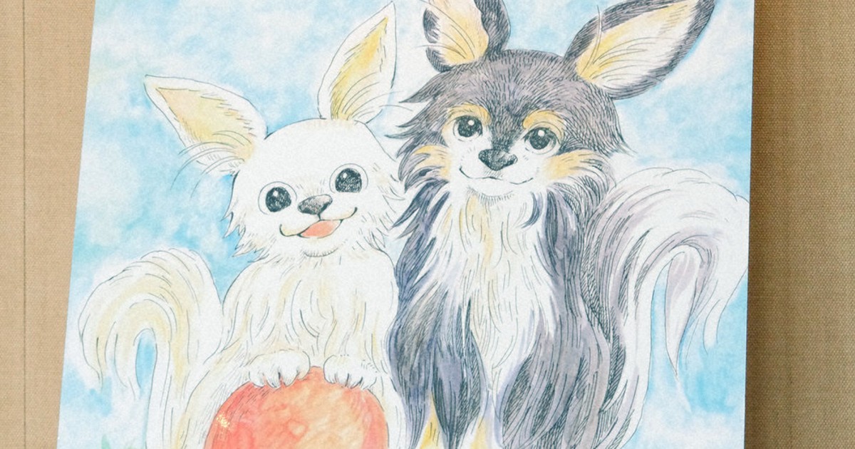 西日本豪雨 被災のチワワ、ほのぼのと 絵本原画展 兄弟犬チョコ