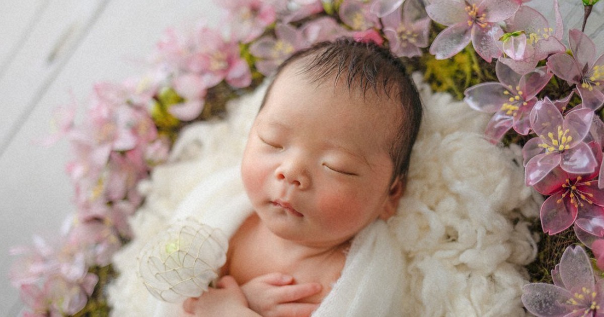 油絵　専用　花壇から顔を出した赤ちゃんぶた 0c10.jpg?1