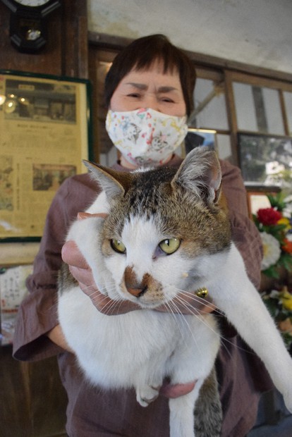 【確認用】猫ちゃん様 キャティーマン ネコちゃんの牛乳 成猫用 200ml×2個 猫 ミルク