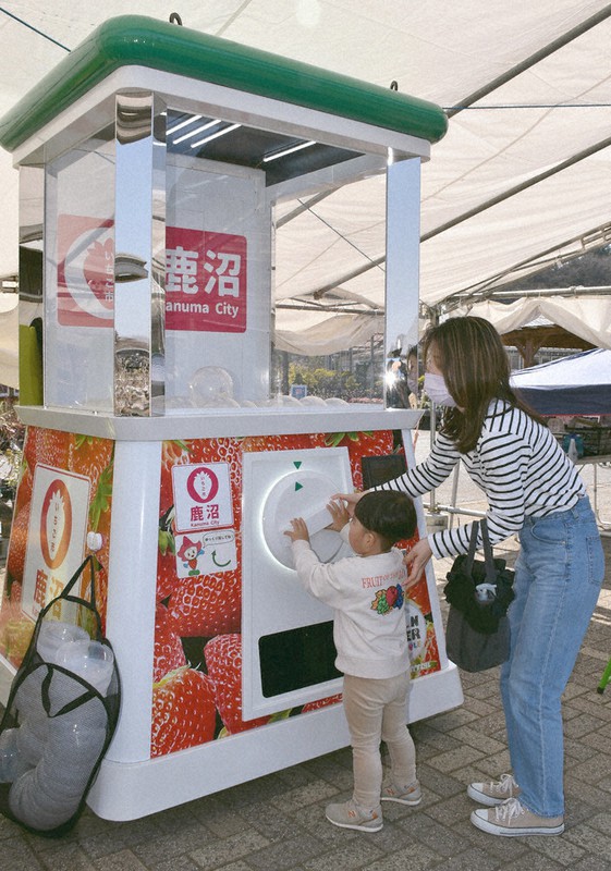 巡って 食べて スタンプ集め 巨大いちごガチャ に挑戦 栃木 鹿沼 毎日新聞