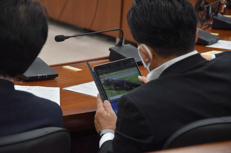 衆院内閣委員会で検察庁法改正案の審議中にタブレット端末でワニの動画を見る平井卓也・前科学技術担当相=2020年5月13日午前9時9分