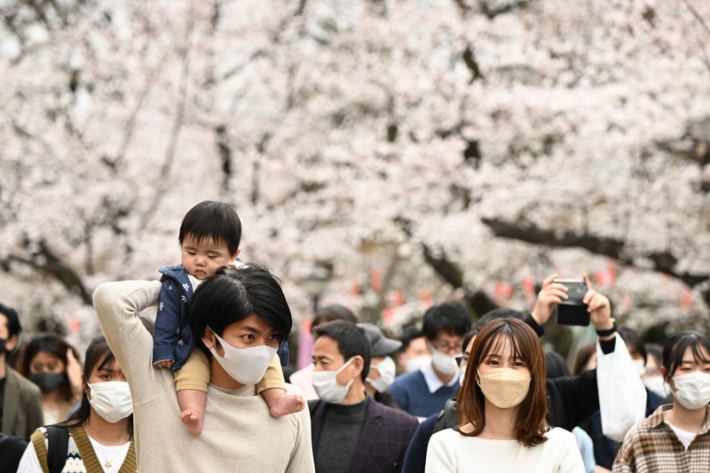 東京都心と福岡市で桜満開 平年より4日早く 毎日新聞