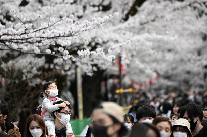 東京で桜が満開 写真特集3 6 毎日新聞