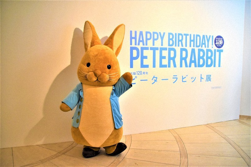 PETER RABBIT（TM） - 【未使用】ピーターラビット　ウサギ　ぬいぐるみ　ラージ　テディベア　まとめ売り PETER RABBIT（TM）（ぬいぐるみ）のフリマアイテム一覧