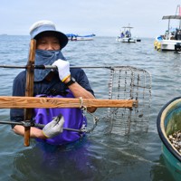 本物を安心して食べて」 熊本のアサリ漁再開、漁師ら笑顔 [写真特集3/7