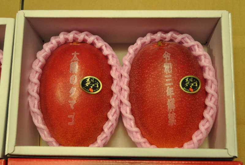2 premium mangoes sell for recordtying 3,990 in southwest Japan