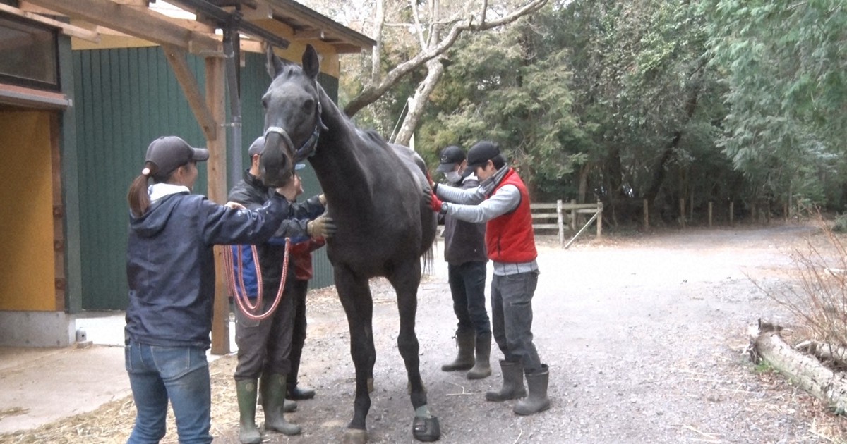 情熱大陸 引退馬サポートチーム Horse Trust 草の上で馬が幸せに暮らせる環境を 毎日新聞