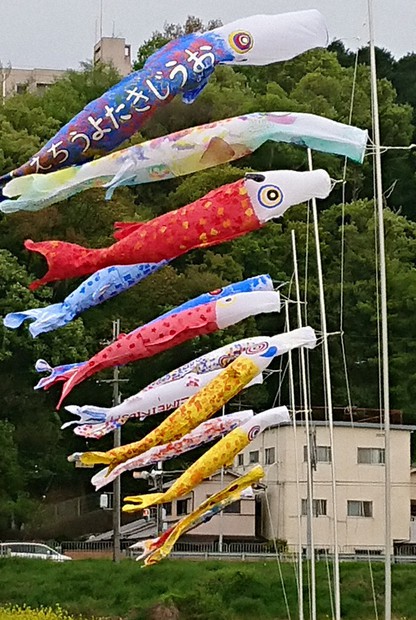なおくん専用こいのぼり 薫風そよぐ、こいのぼり ／奈良 | 毎日新聞