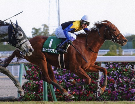 愛知杯で重賞初制覇を飾ったルビーカサブランカ