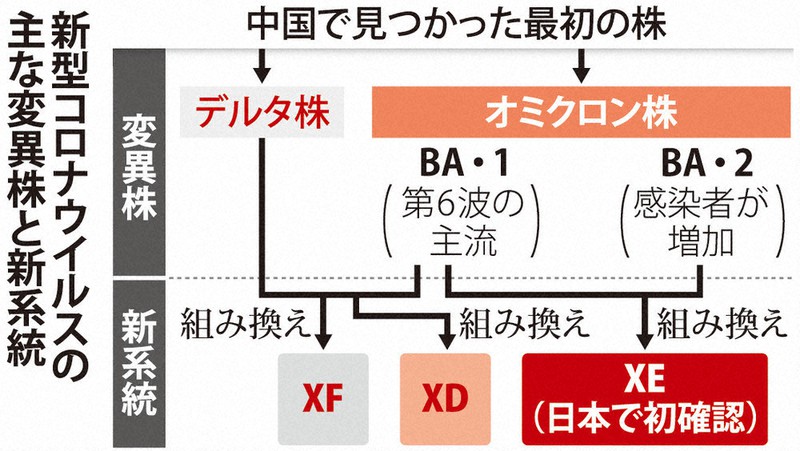 15歳のニュース 新型コロナウイルス 新系統の名前の由来は？ | 毎日新聞