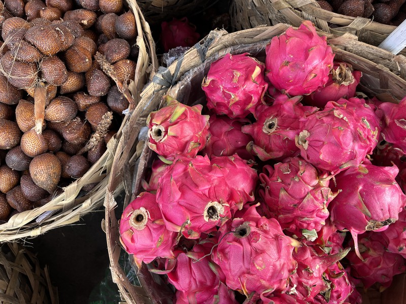 アースリーチャレンジ 地球と人とsdgs バリ島の暮らしからsdgsを学ぼう 毎日新聞