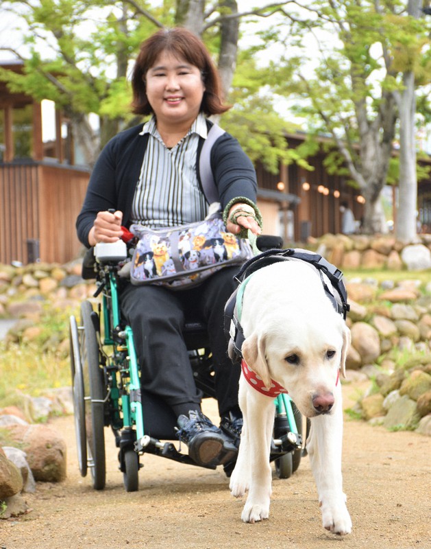 介助犬 くーすけ 助け 助けられ築く信頼関係 愛媛2頭目 毎日新聞